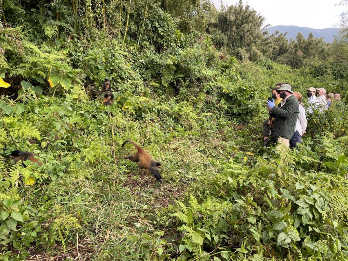 Virunga Homes Ruhengeri Buitenkant foto